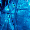 photo title: everything's blue in this world
