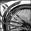 photo title: low rider