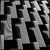 photo title: overlap